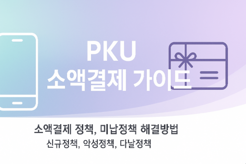소액결제 정책 (1).png